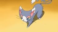 Glameow (Image via The Pokemon Company)